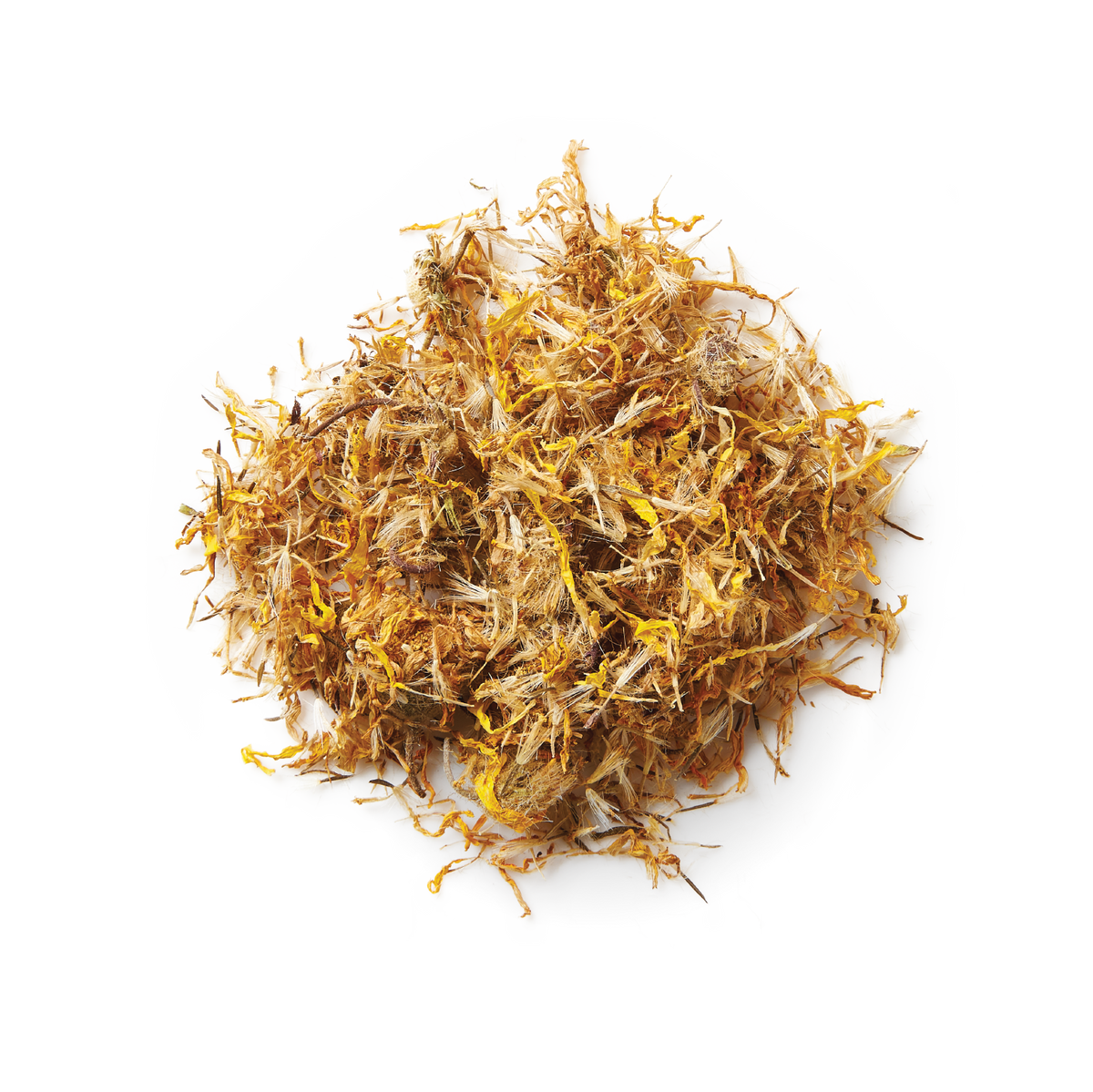 Surya