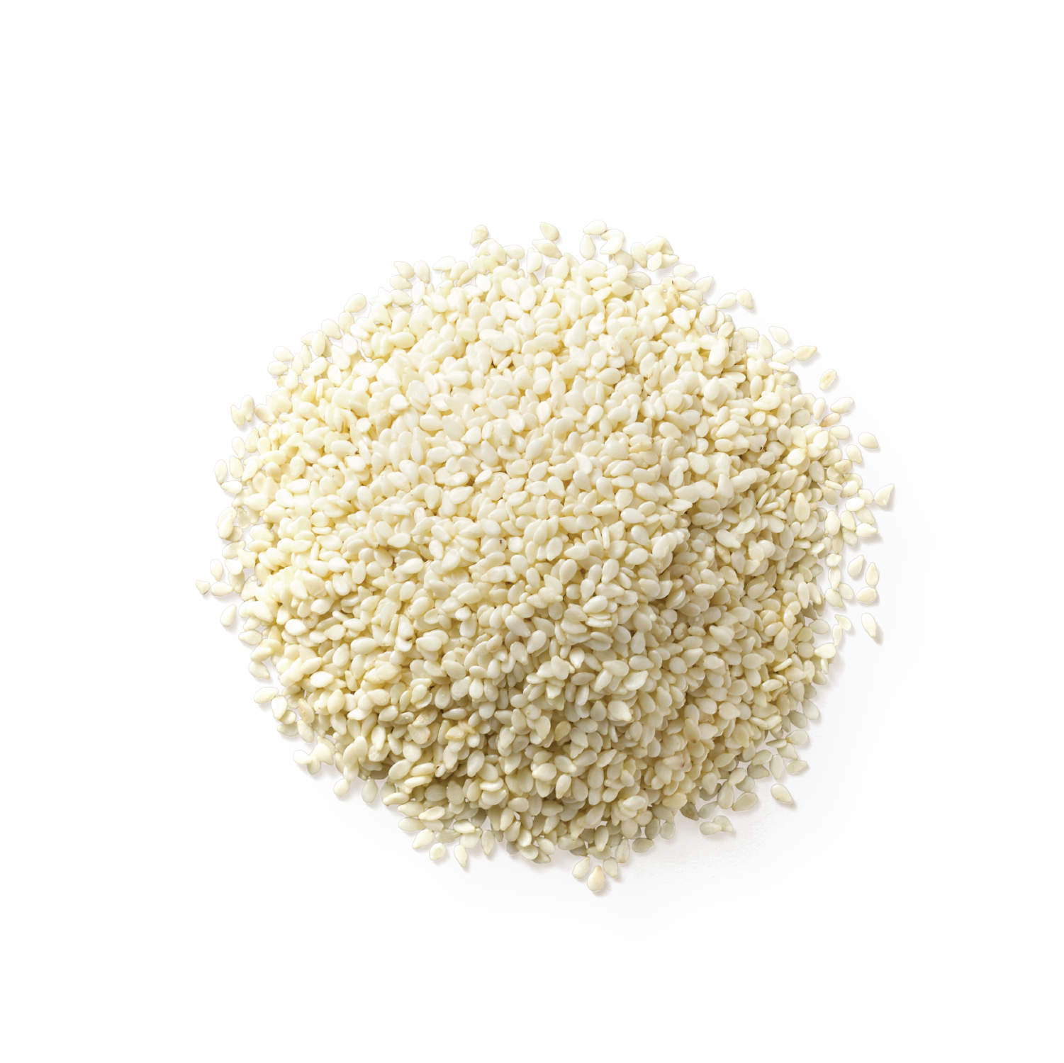 White Sesame Surya