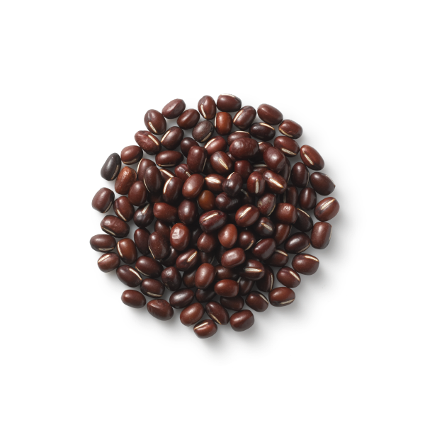 Surya 