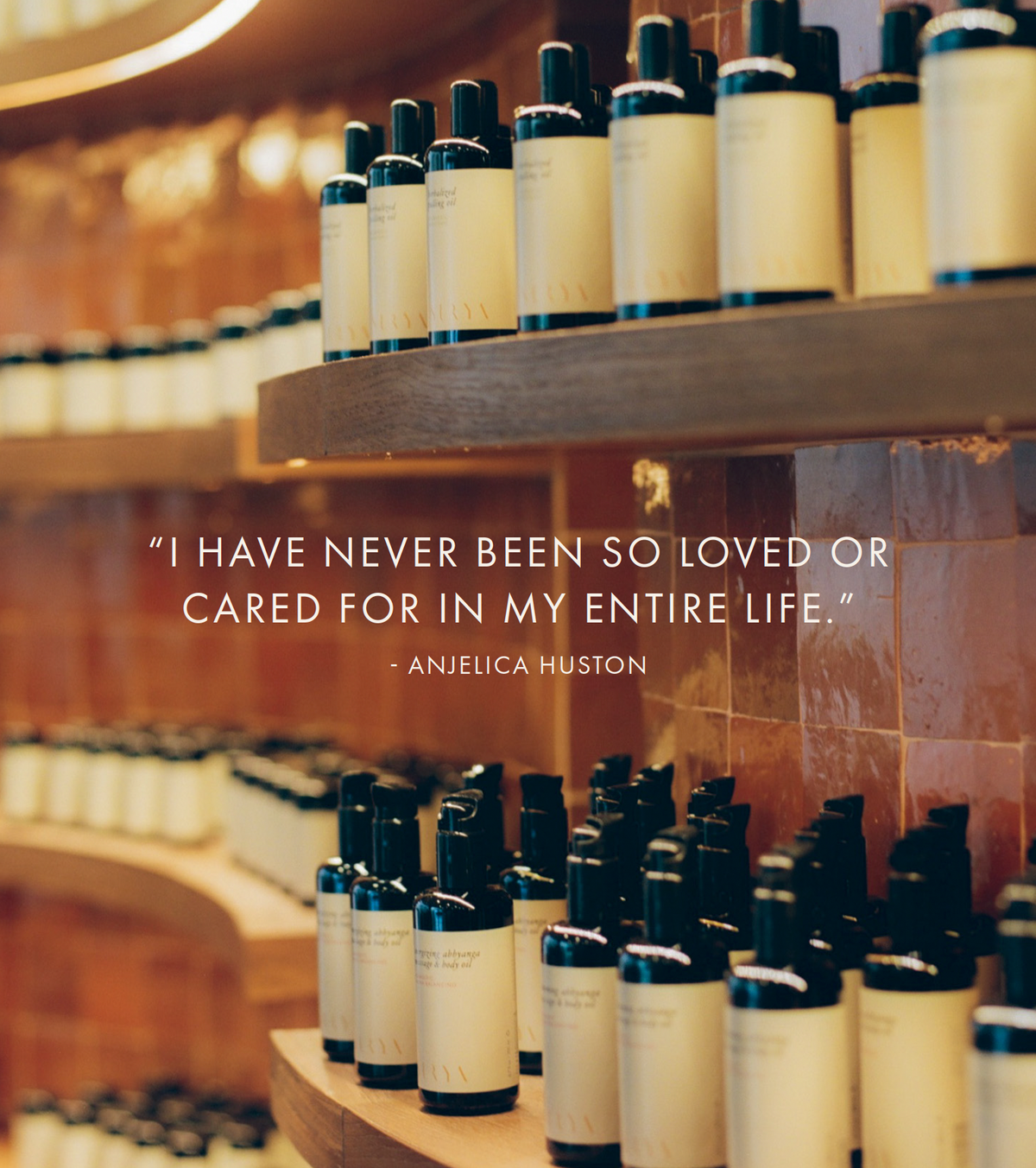 I have never been so loved or cared for in my entire life - quote by Anjelica Huston